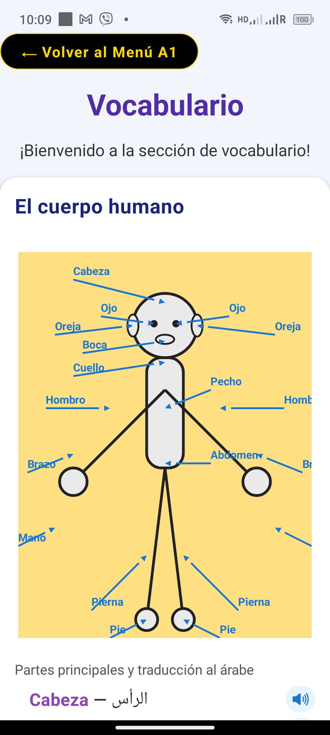 Vocabulario visual